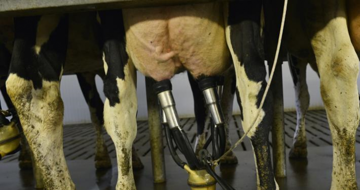 Dialogue rompu entre Savencia et les producteurs