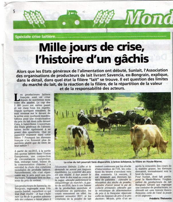 Mille jours de crise : l’histoire d’un gâchis