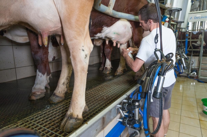 Accord à 340 €/1 000 litres entre Sunlait et Savencia
