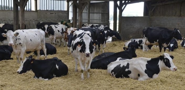La fédération des OP appelle au rassemblement